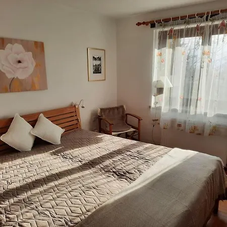 Gallery - Terrasse Mit Seeblick Und Garten Appartement Altmünster